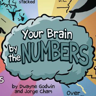 Mózg w liczbach